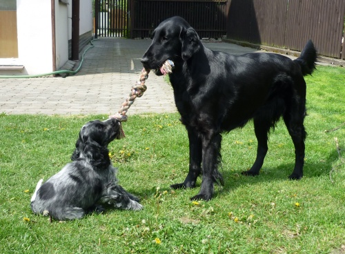 Berry 5.6.2010 (9).jpg